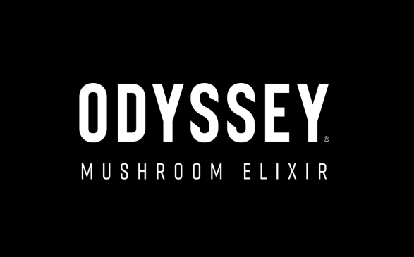 Odyssey Elixir Review