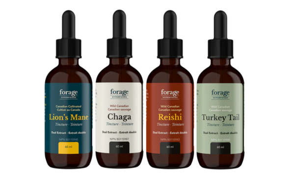 The Forager Set