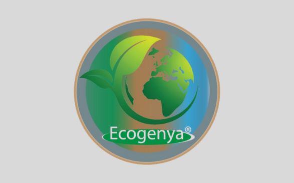 Ecogenya Review
